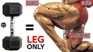 Leg Workouts at Gym //To Build Stronger Legs