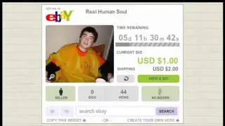 eBay Offering BillMeLater Financing on Human Soul