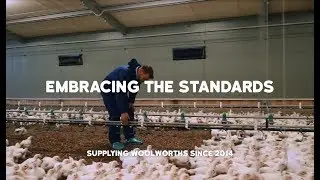 RSPCA Approved Good Food Series: Embracing the standards