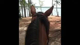 Fants Grove Trail