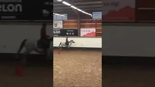 Why is it so blurry 😅😛✨ #editing #2024 #edits #eq #equestrian #canter #edit #troy