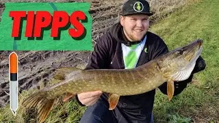 Vom K&Ouml;DERFISCH zum HECHT by Johannes Fortwengel | Tipps und Tricks zum Angeln auf Hecht