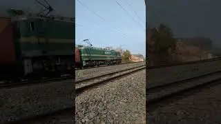 Honking TKD #WAG9  #shorts #indianrailways #locomotive