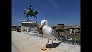 2017 TRAVEL STUDY IN ROME