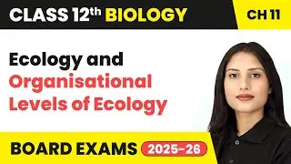 Ecology and Organisational Levels of Ecology | Class 12 Biology Chapter 11 | CBSE 2025-26