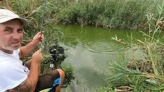 Pescuit la pluta cu mango 🥭 🥭 🥭