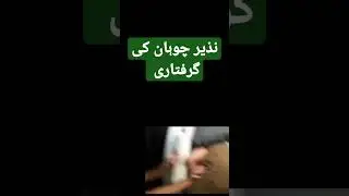 Arrest of Nazir Chohan on Asassinstion attack on PTI MPA