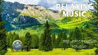 Breath of Quiet Fields: Gentle Ambient Piano for Deep Relaxation and Inner Calm.