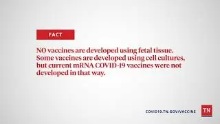 COVID-19 Vaccine Fact vs. Fiction: No Fetal Tissue Used