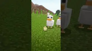 Minecraft DUCKS 🐣