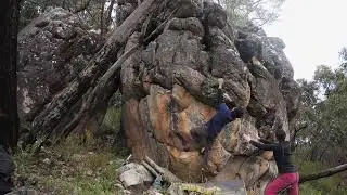 V2 - Cats Can Climb Too || Mountain Lion || Grampians Bouldering