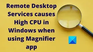 Remote Desktop Services causes High CPU in Windows 11/10