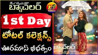 Most Eligible Bachelor 1st Day Total Collections |1st Day Most Eligible Bachelor Collections |