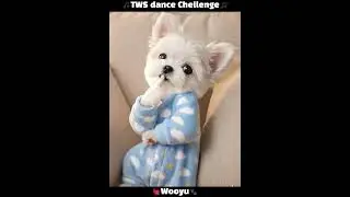 Wooyu's Dance Challenge TWS #funny #puppy #ai #cute #TWS #투어스 #overdrive #dance #cutedog #혜리