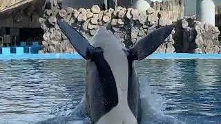 アースありがとう😢忘れない…💞 Port of Nagoya Public Aquarium 名古屋港水族館