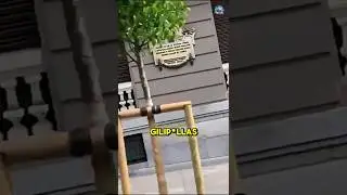🔺 Un venezolano increpa a varios comunistas en una concentraci&oacute;n en Madrid #noticias #espa&ntilde;a