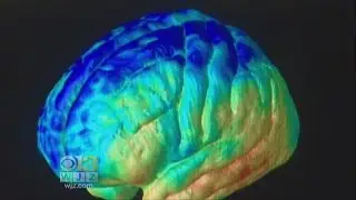 WJZ HealthWatch: How To A Healthier Brain