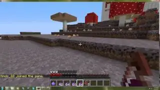 First Good Video (Super craft bros)