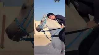 #instareels #15second #tiktokvideo #insta #instagramreelsroast #instagramreelstrending #viralvideos