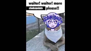 basil beats my time