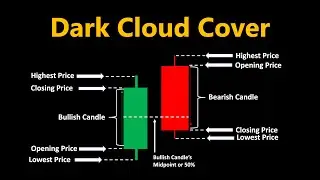 Mastering Dark Cloud Cover Candlestick Pattern (Beginners)