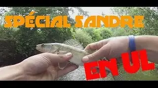 P&ecirc;che du d&eacute;butant: sp&eacute;cial sandre en UL