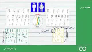 ثانية بكالوريا علوم الحياة والأرض|  دور الانقسام الاختزالي في التخليط الصبغي
