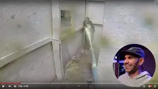 Пейнтбольный огнемет, DLS для стрельбы, BK Double Strap &mdash; 🔴 LIVE