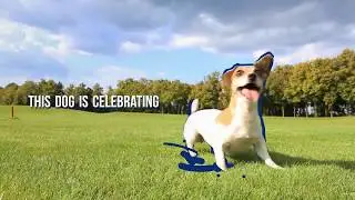Safe dog parks are pit bull-free dog parks