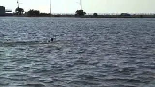 20140914 171802