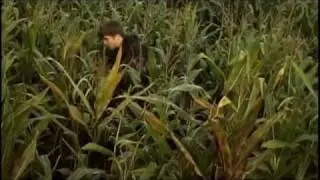 Corn - Amateur Movie Canon XL-2