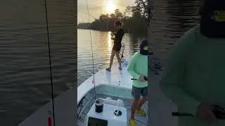 Wife Catches Topwater Red Drum  #fishing #reddrum
