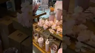 Starbucks Korea 2024 NEW Cherry Blossom Sakura Cups🌸 #starbuckscups #stanleycup #starbucks #stanley