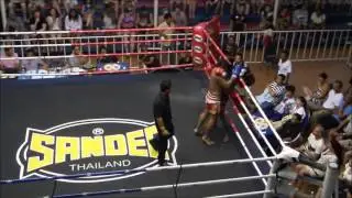 Great Muay Thai KO by Petdam Combat 360X