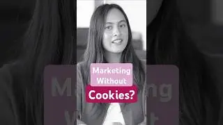 The Cookieless Future: Is Your Marketing Strategy Ready?