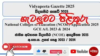 Vidyapeeta Application 2025 | Vidyapeeta Gazette | ගැටලුවලට පිළිතුරු | #vidyapita #Vidyapeeta
