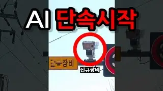 이제 이거 모르면 멈춰도 걸립니다! (결국 정부가 칼을 뽑았네요)