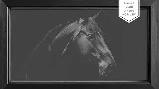 Frame TV Art | Beautiful Black Horse Upclose | Frame Art  | 2 HRS | Screensaver | No Sound