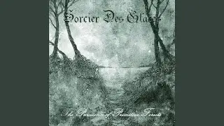 Tormentor I (Tormentor Cover)