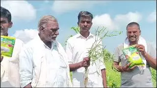 Organic Profitable Multiplier Technique Black Gram/Udid With श्री Haunsraj Ghogare 7796691111