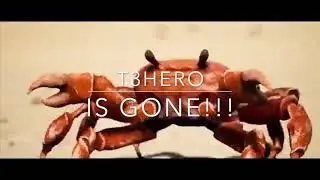 t3hero is gone!