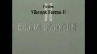 Fluxion - Vibrant Forms 2 (Chain Reaction) - 02 Prospect II (CD1)