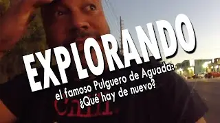 EXPLORANDO el famoso Pulguero de Aguada: ¿Qué hay de nuevo? 🛍️