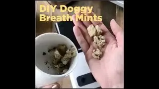 Homemade Dog Mint Treats: Freshen Doggy's Breath with This Easy DIY Recipe