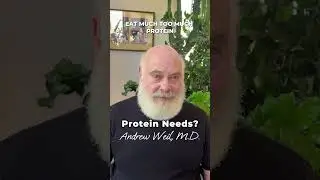 Protein Needs?