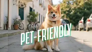 Which Countries Are the Best to Travel with Your Pet?