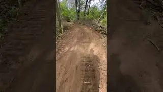 Cutting in a new road in the woods.