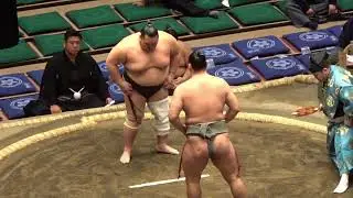 『幕下4勝0敗対決️』栃丸vs寿之富士【大相撲令和8年1月場所】9日目 初場所  [JAN 2026 DAY9] 2026/01/19