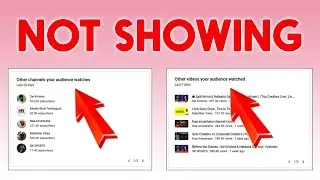Other channels or videos your audience watches or watched not showing -  But Why!