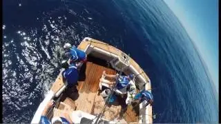 CatchStat | Los Cabos Billfish Tournament 2014 Fish Release Video #23383